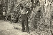 Domenico Taggiasco porta le foglie di palma