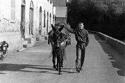 Foto con mulo 1957